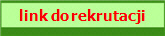 link do rekrutacji